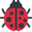 lady beetle